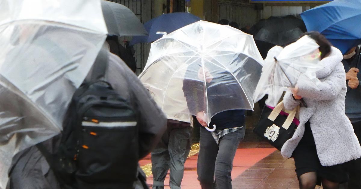 雨具と言えば傘が一般的ですが、傘だけでは近年の短時間集中豪雨に対応できるでしょうか？